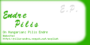 endre pilis business card